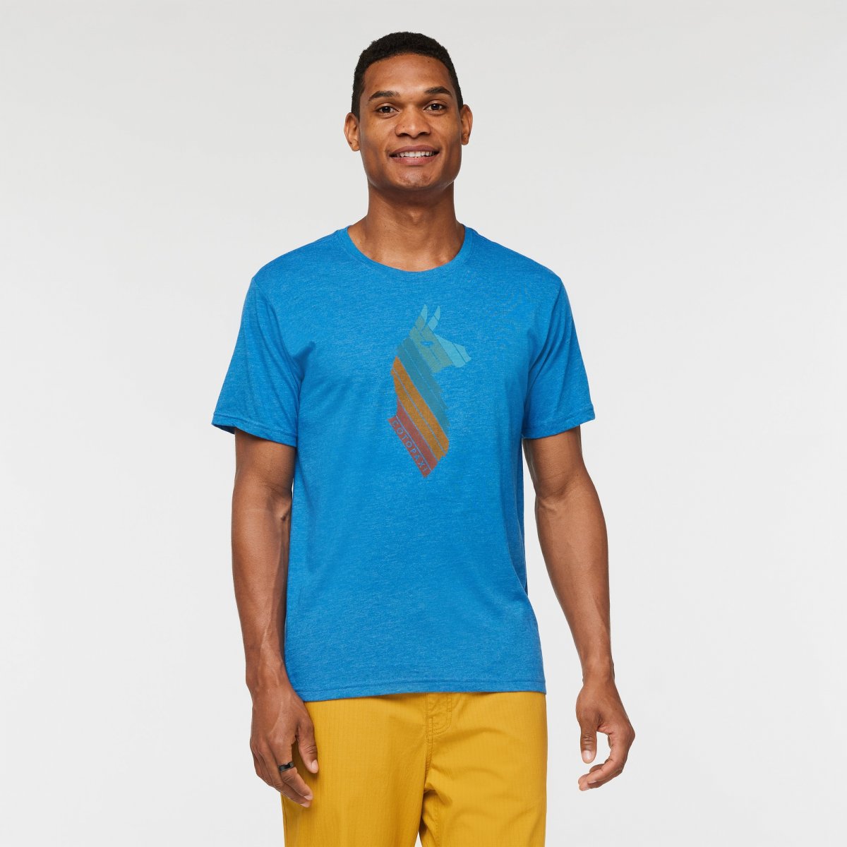 Llama Stripes Organic T-Shirt Man