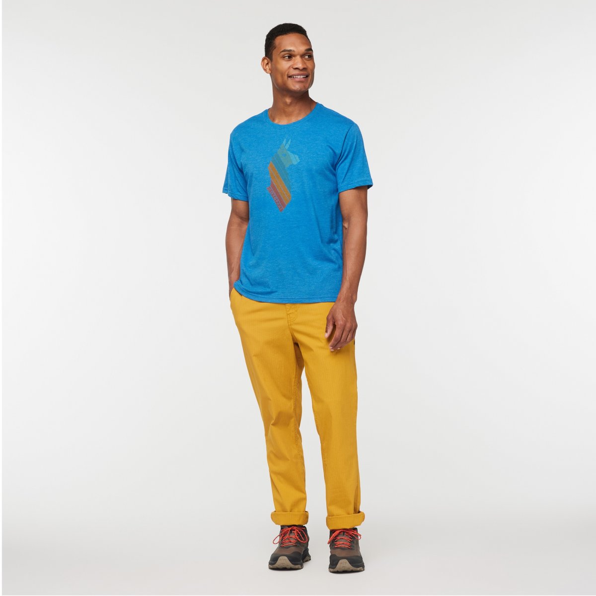 Llama Stripes Organic T-Shirt Man