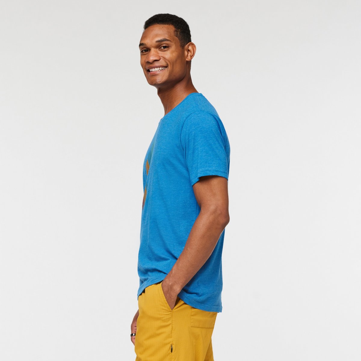 Llama Stripes Organic T-Shirt Man