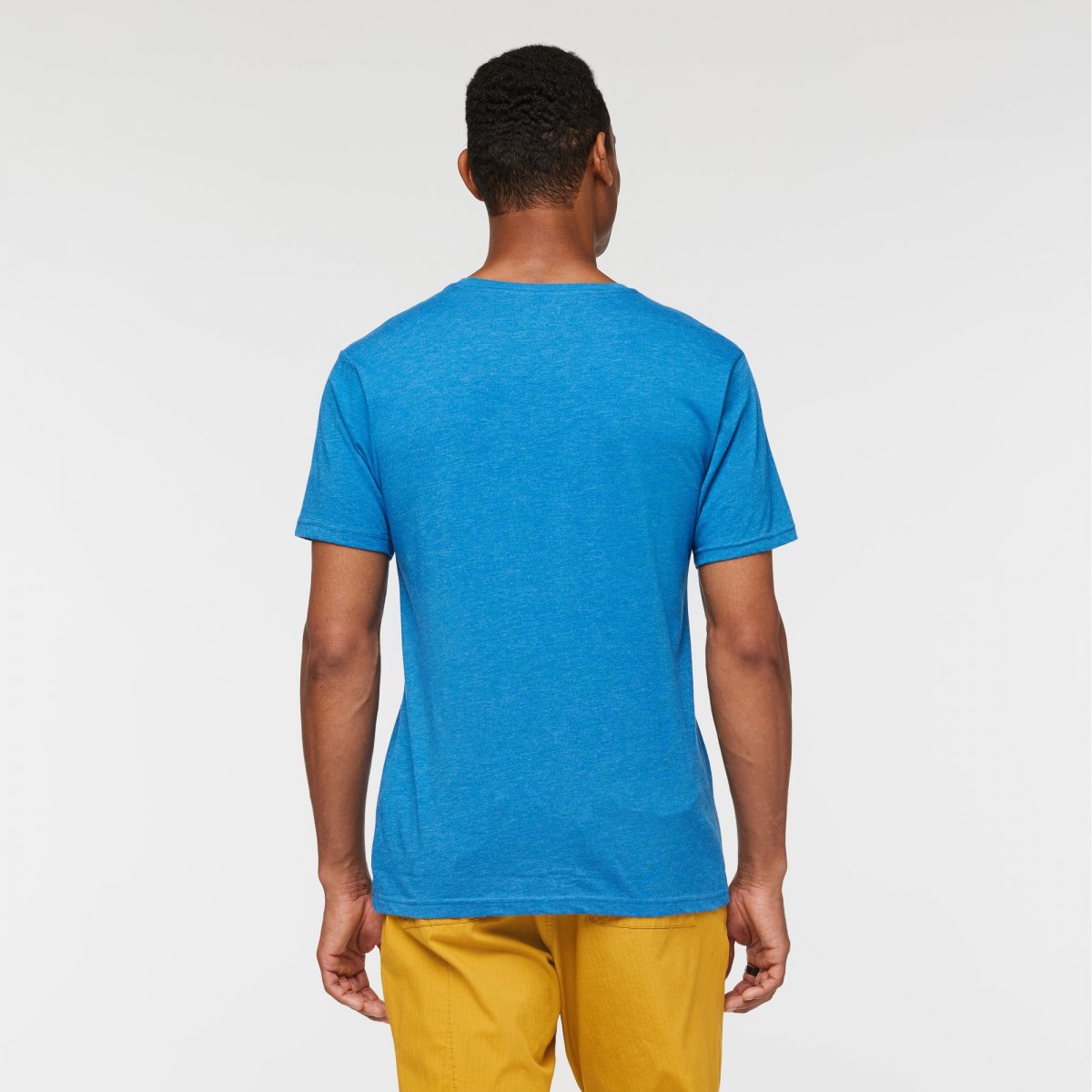 Llama Stripes Organic T-Shirt Man