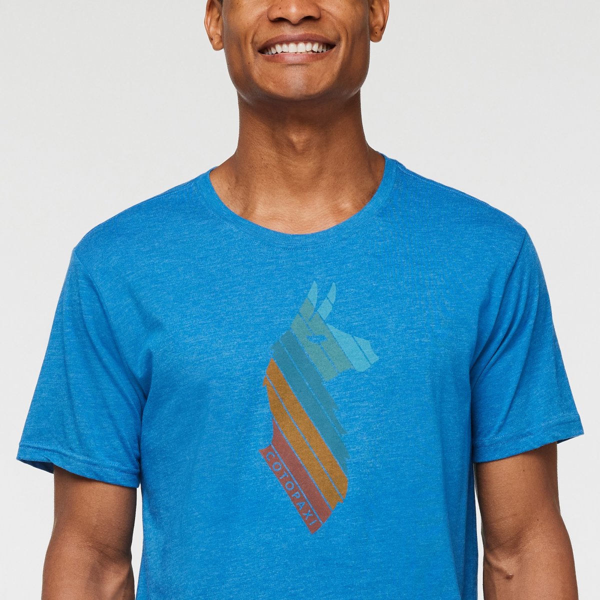 Llama Stripes Organic T-Shirt Man
