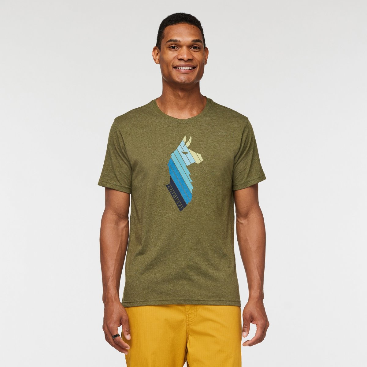 Llama Stripes Organic T-Shirt Man