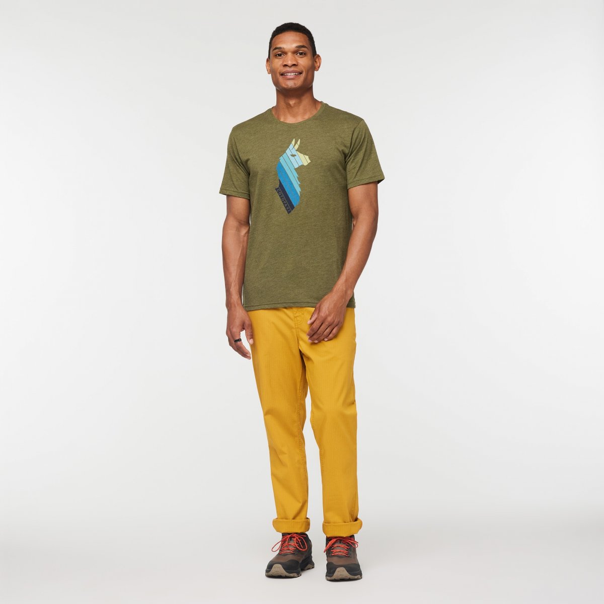 Llama Stripes Organic T-Shirt Man