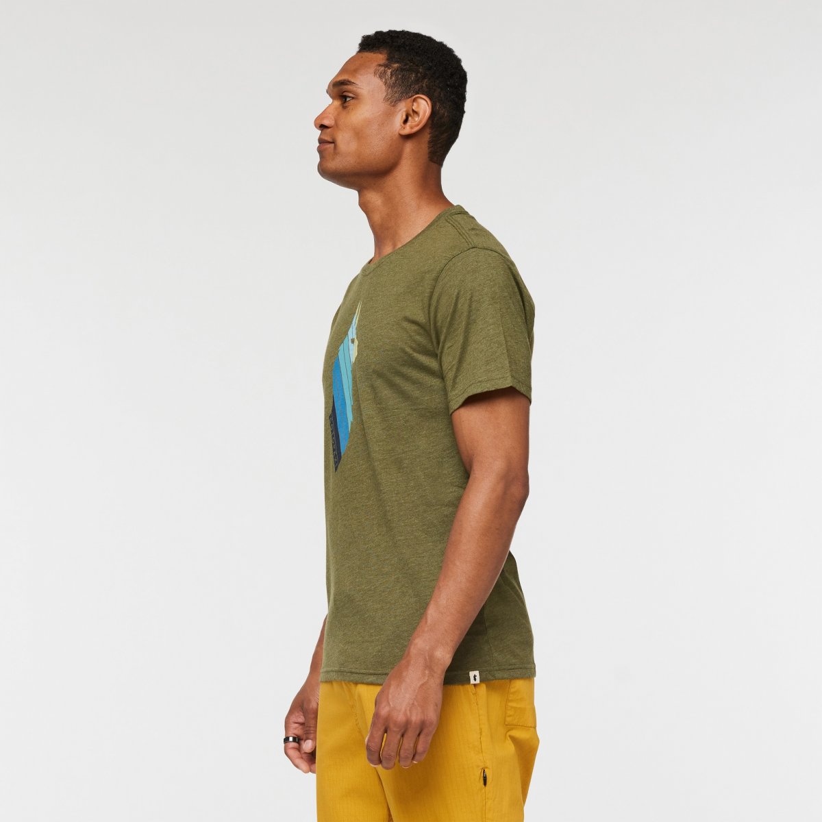 Llama Stripes Organic T-Shirt Man
