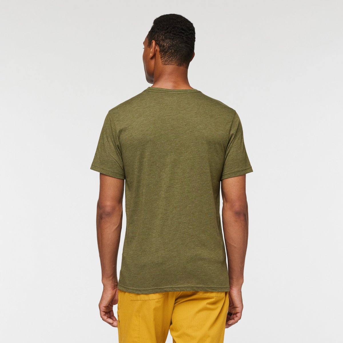 Llama Stripes Organic T-Shirt Man