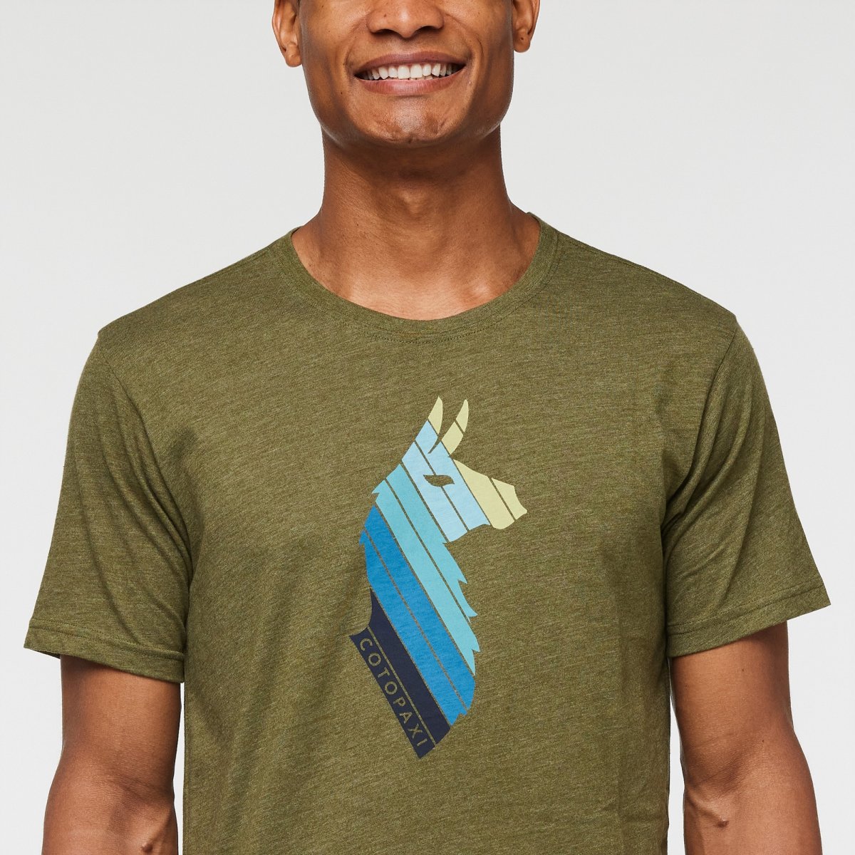 Llama Stripes Organic T-Shirt Man