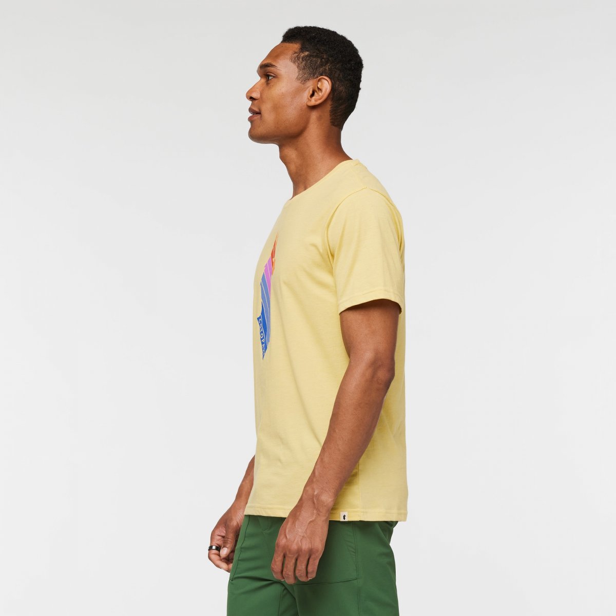 Llama Stripes Organic T-Shirt Man