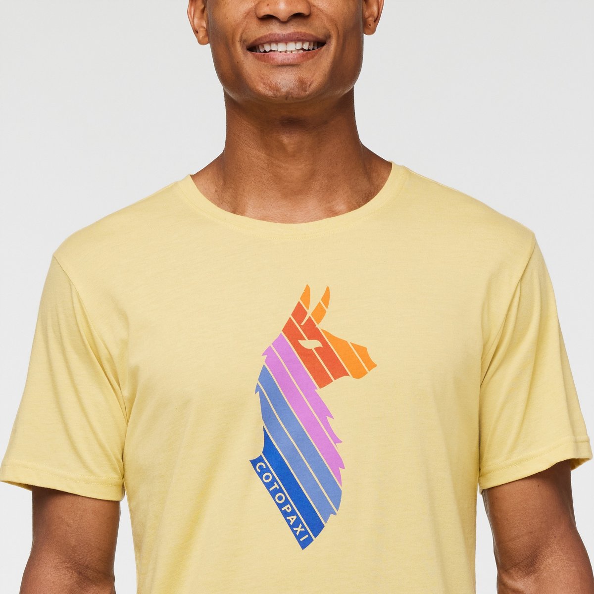 Llama Stripes Organic T-Shirt Man