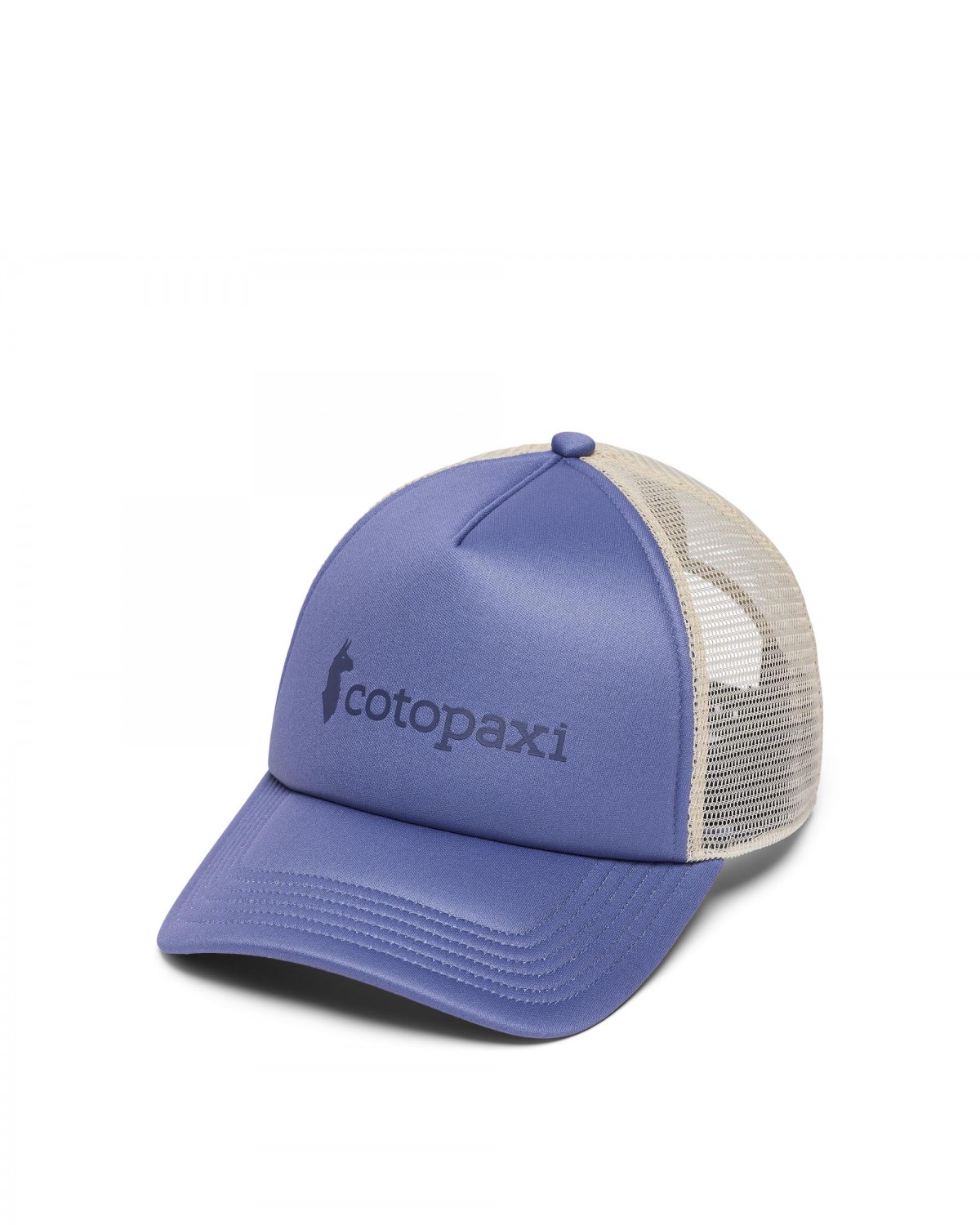 Vintage Trucker Hat