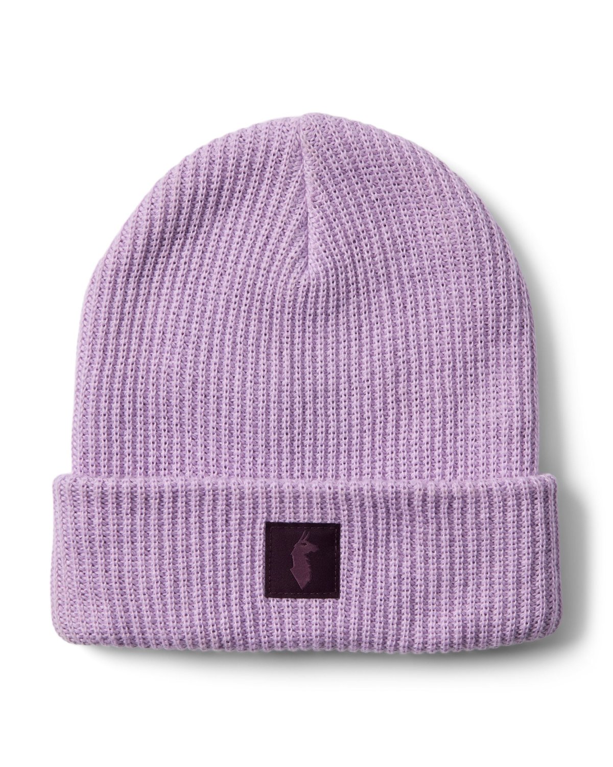 Wharf 2.0 Beanie