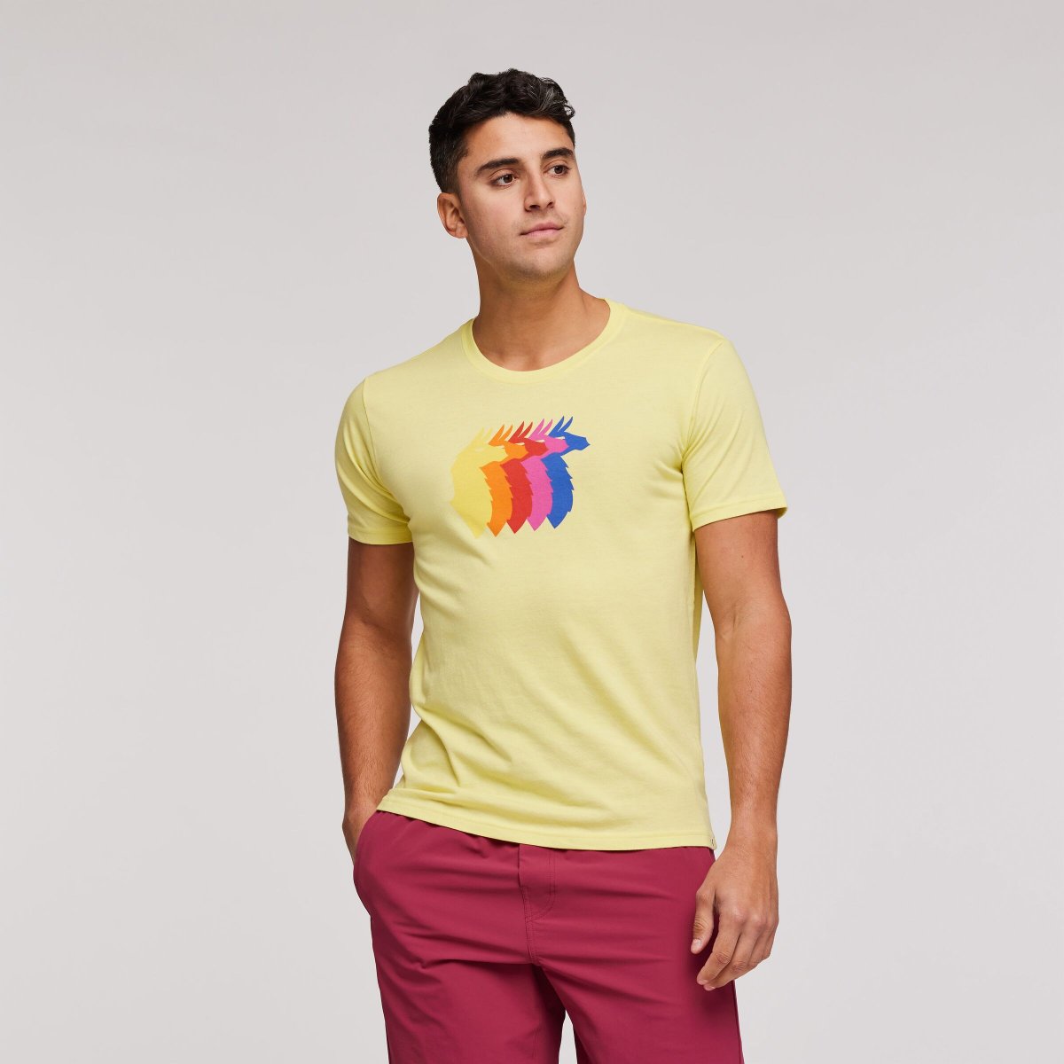 Llama Sequence Organic T-Shirt Man