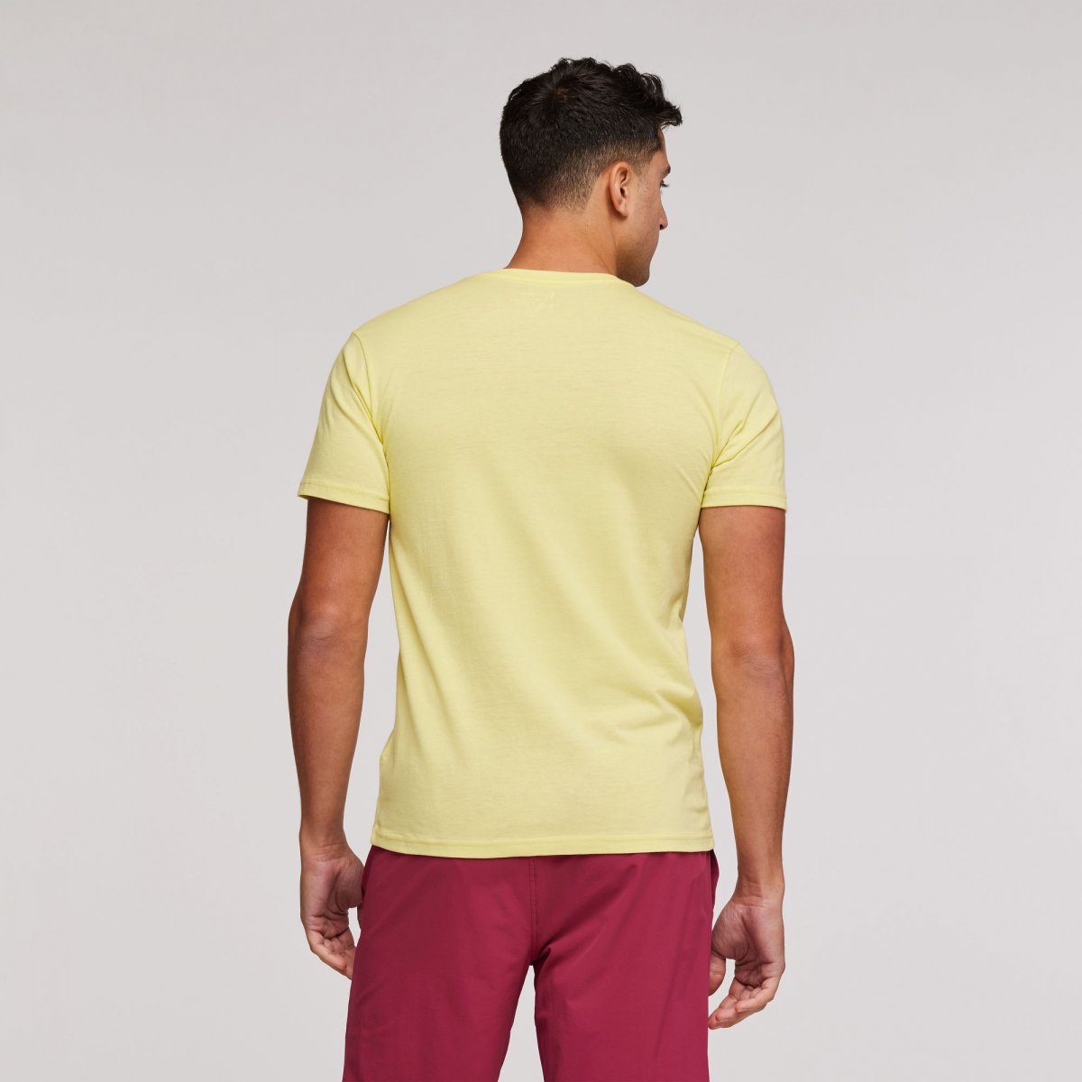 Llama Sequence Organic T-Shirt Man