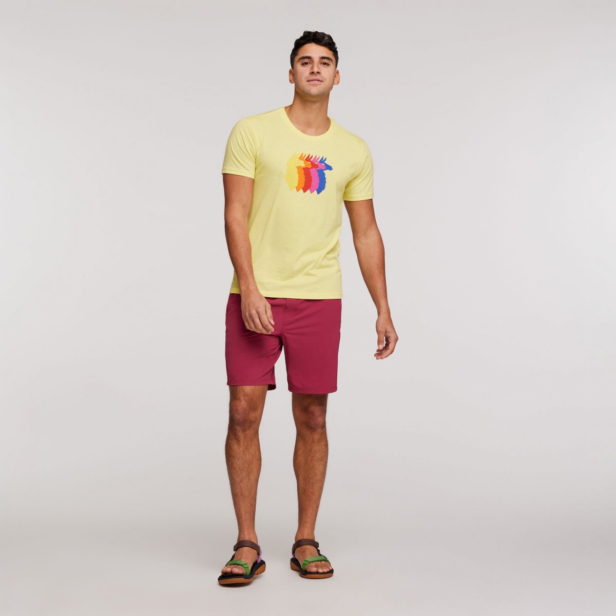 Llama Sequence Organic T-Shirt Man