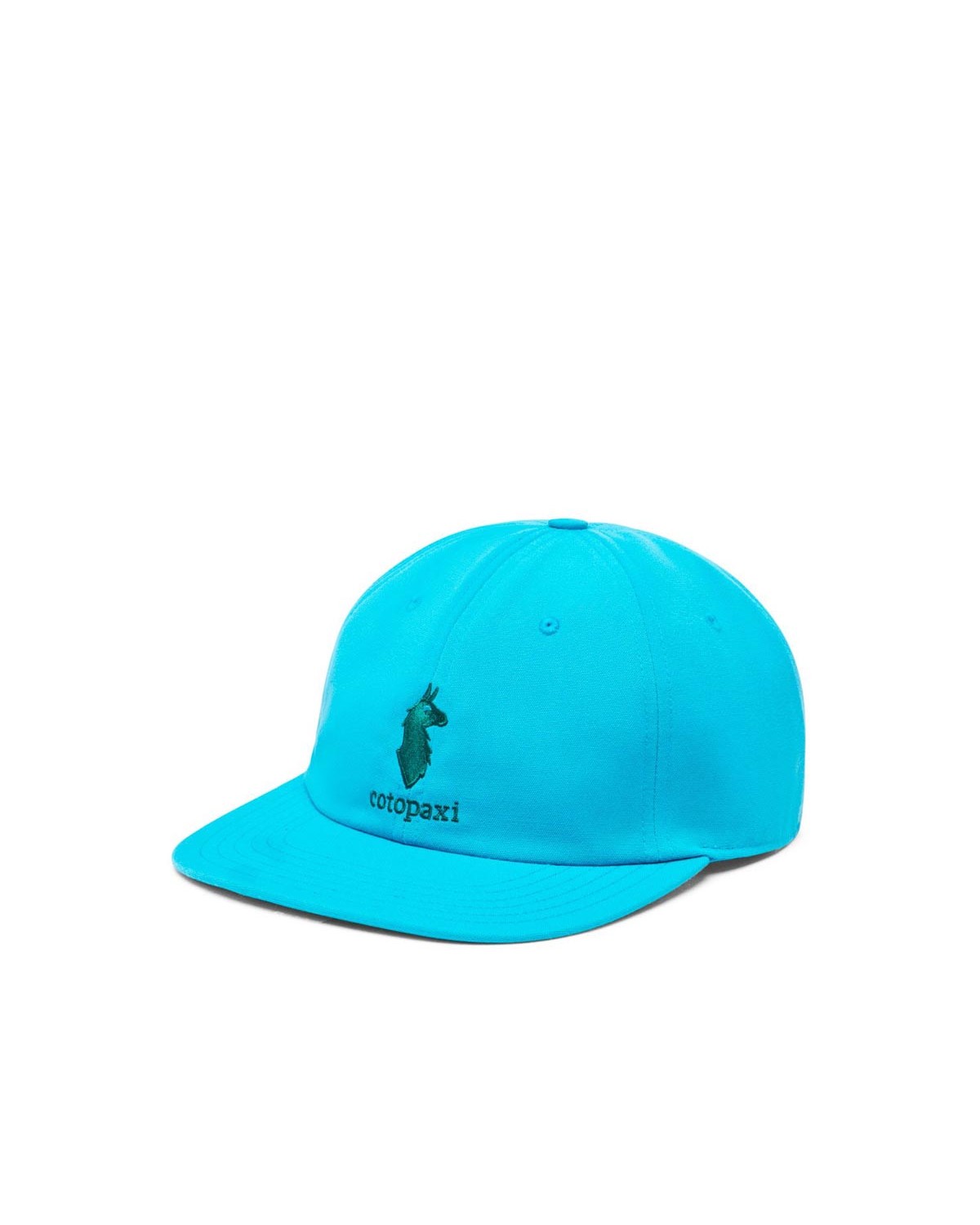 Cotopaxi Dad Hat