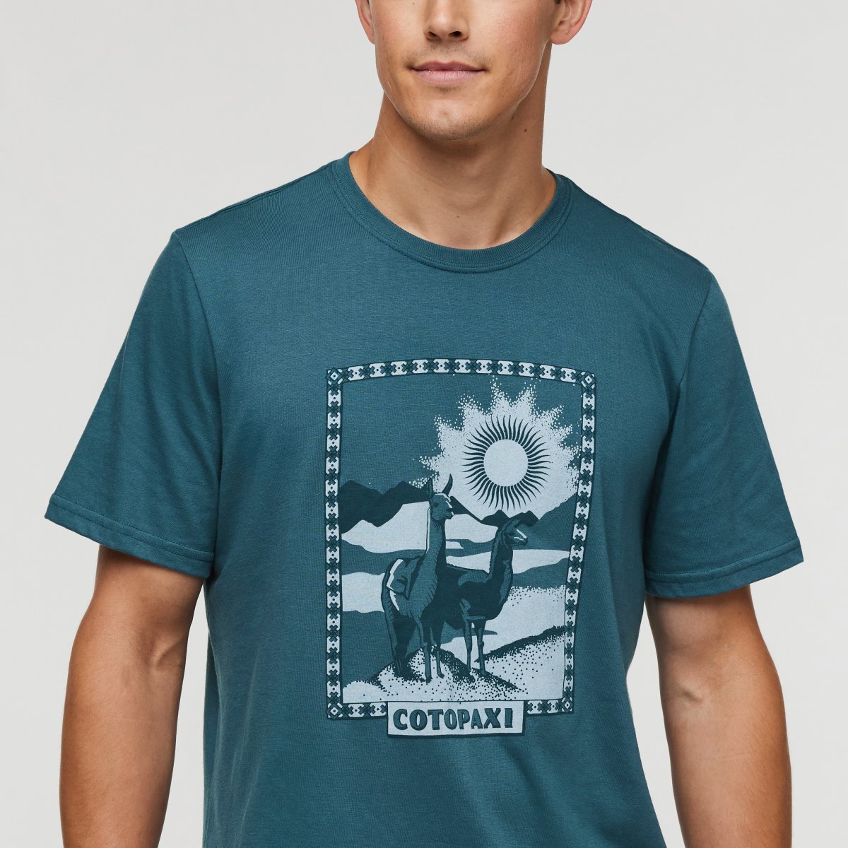 Llama Greetings Organic T-Shirt Man