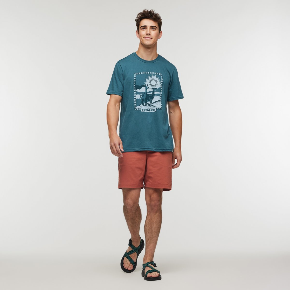 Llama Greetings Organic T-Shirt Man