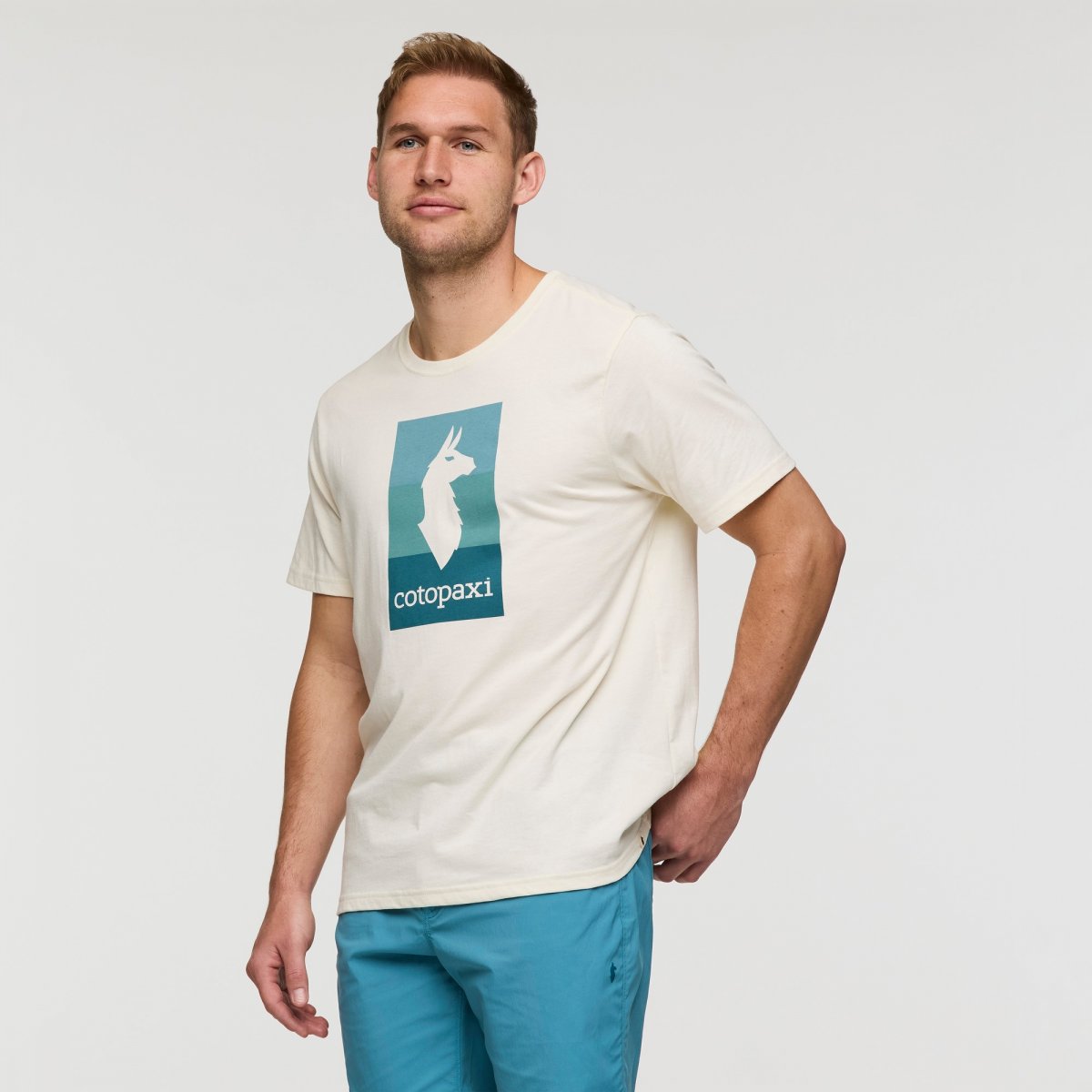 Llama Block T-Shirt Man