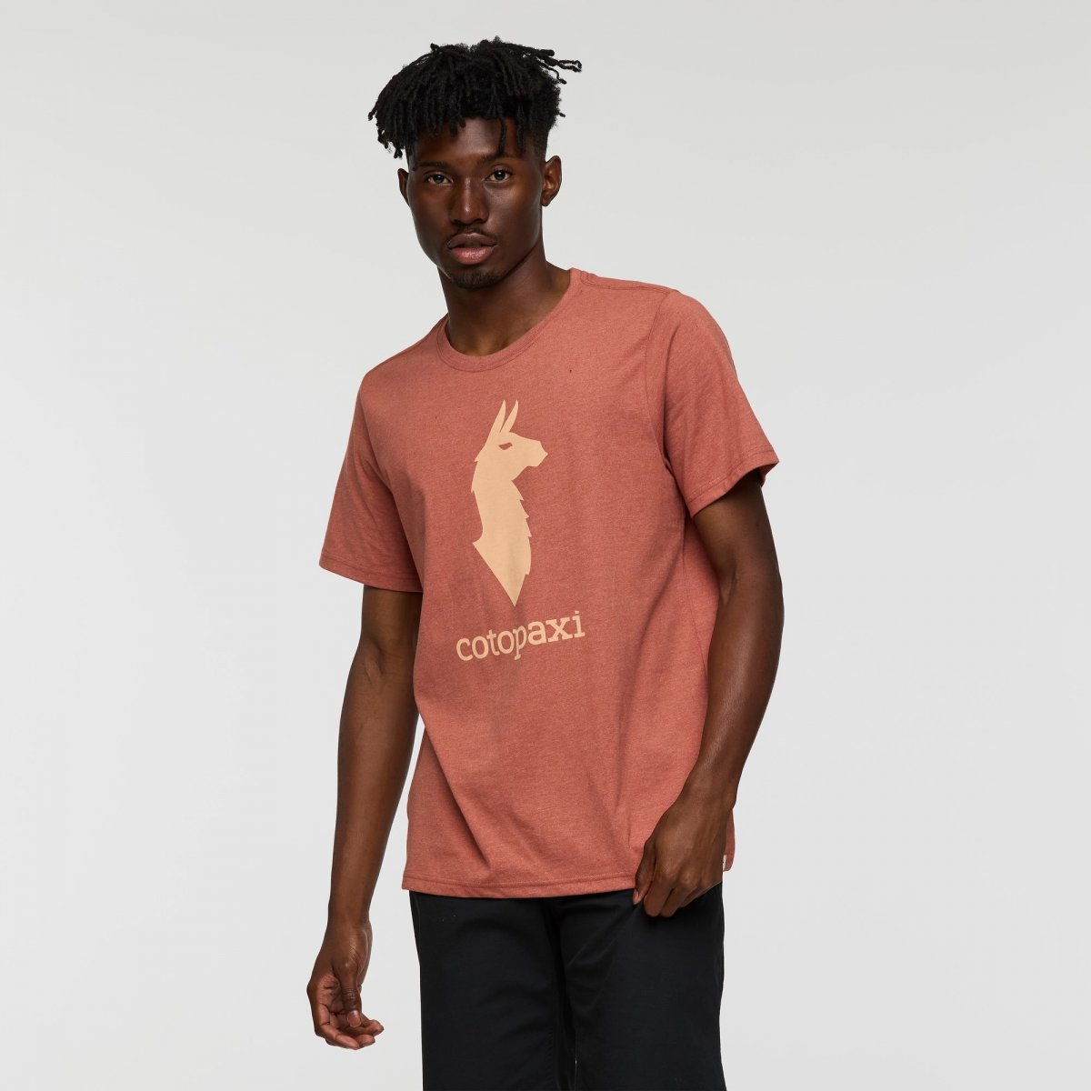 Cotopaxi Llama T-Shirt Man