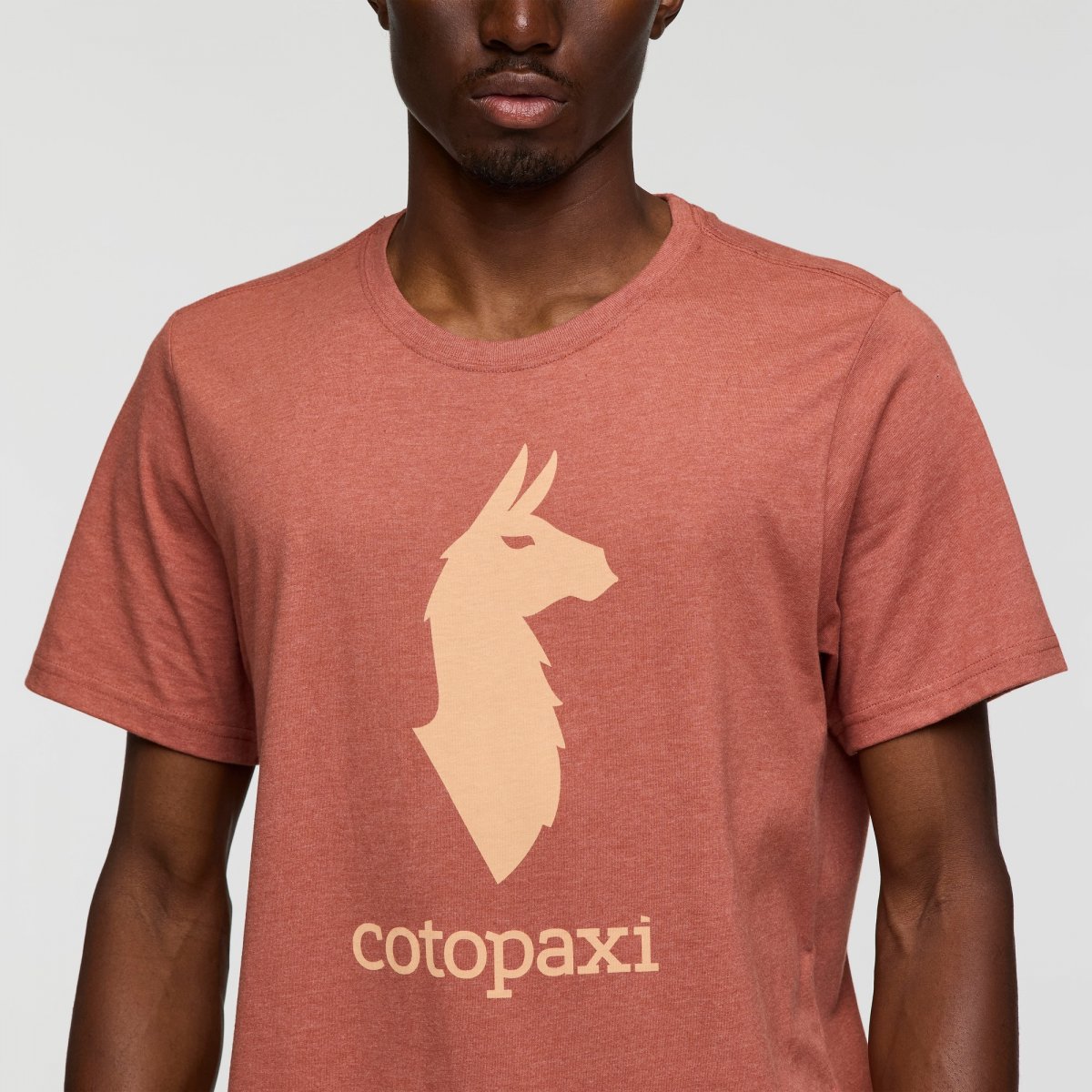 Cotopaxi Llama T-Shirt Man