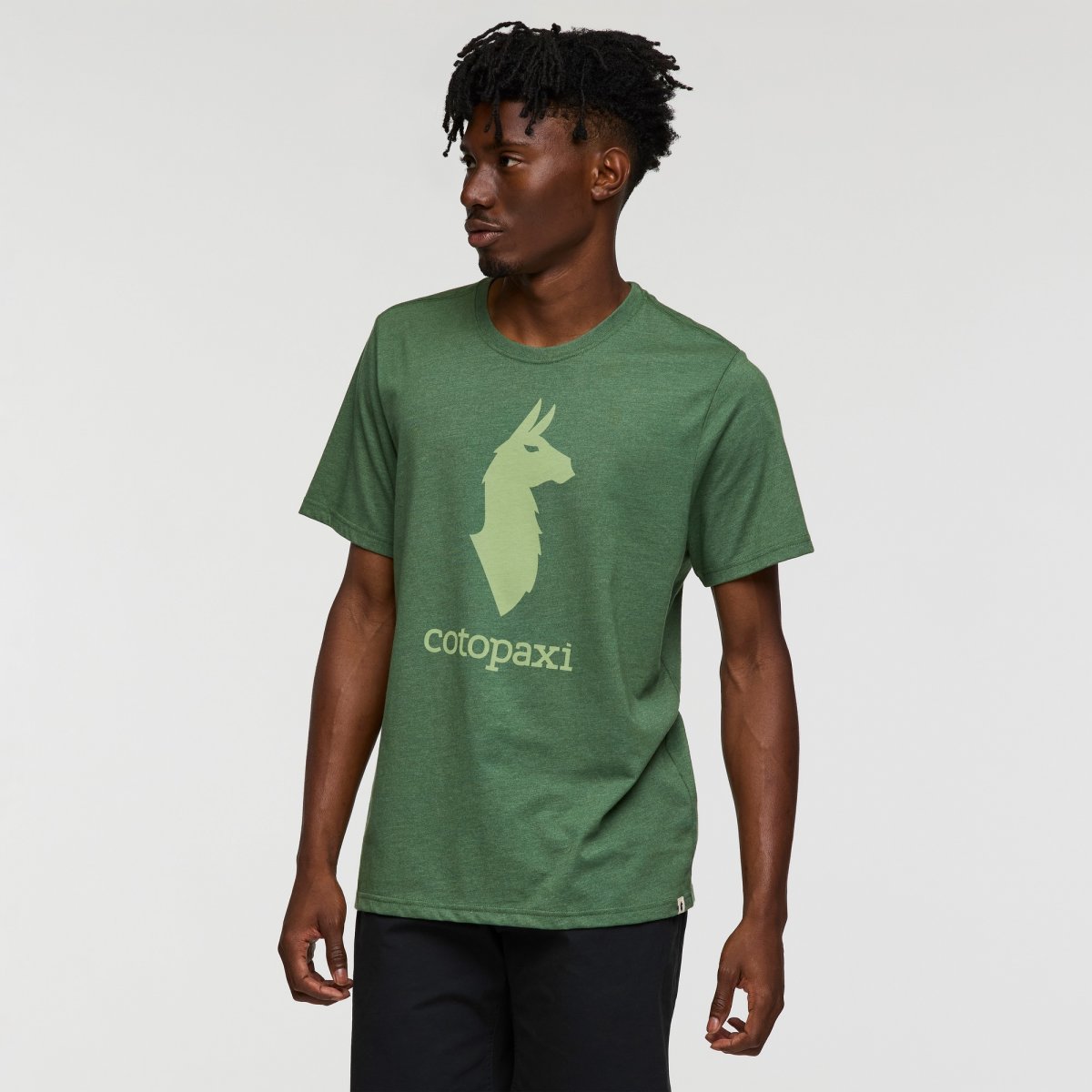 Cotopaxi Llama T-Shirt Man