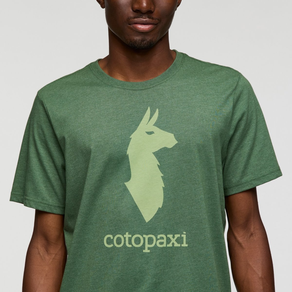 Cotopaxi Llama T-Shirt Man