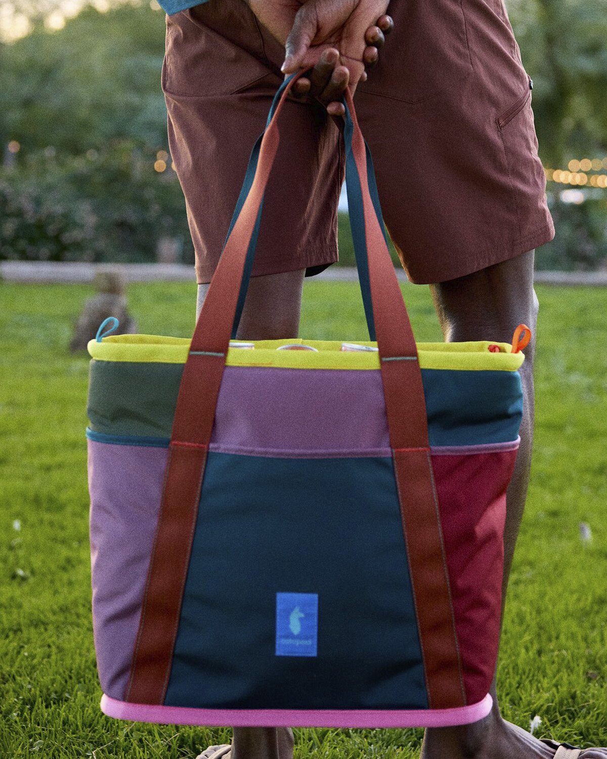 Hielo 18L Cooler Tote - Del Dia