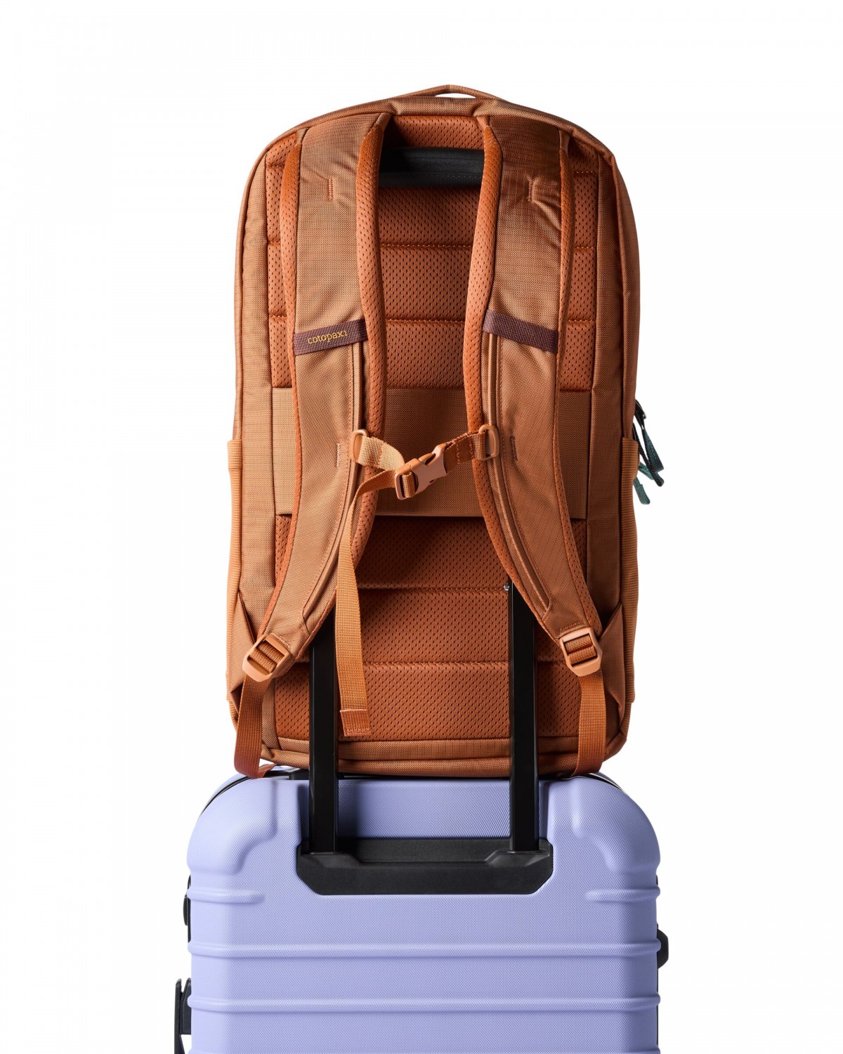 Allpa 26L Daypack