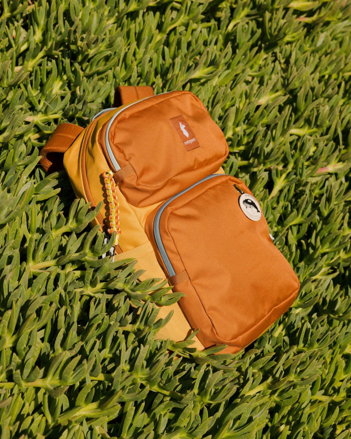 Tasra 16L Daypack