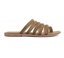 TAN