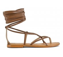 TAN