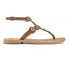 TAN