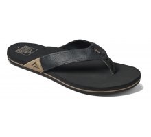 CI3755