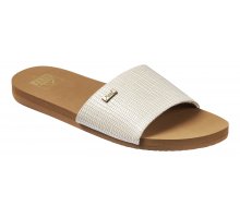 CJ0256
