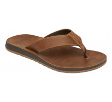 CJ6246