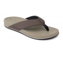 CJ6994