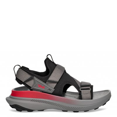 AVENTRAIL M TSG