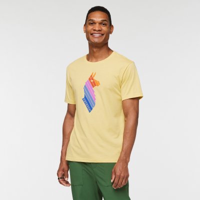 Llama Stripes Organic T-Shirt Man WHEAT