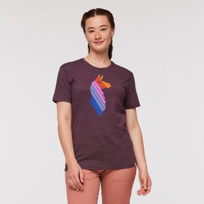 Llama Stripes Organic T-Shirt Woman WINE