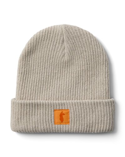 Wharf 2.0 Beanie FTG