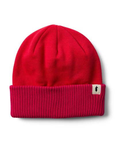 Alto 2.0 Beanie PITSP
