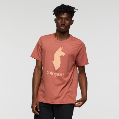 Cotopaxi Llama T-Shirt Man FDBRK